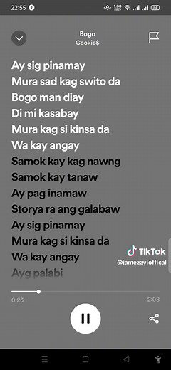 Bogo Bisaya Song Lyrics - Aysig Pinamay