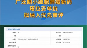 用于广泛期小细胞肺癌！塔拉妥单抗拟纳入优先审评