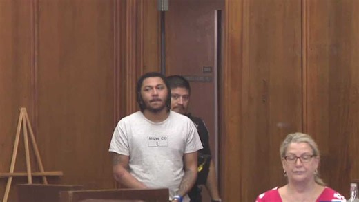 Man charged with stealing car with young girls inside pleads guilty