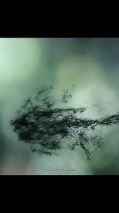 273K views · 3.3K reactions | In "Alien: Covenant," the titular...