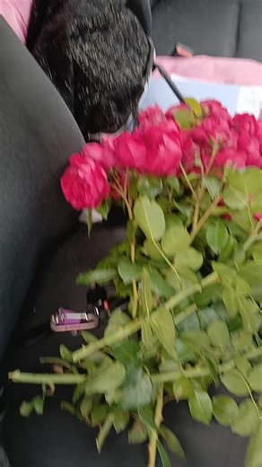 Beautiful Roses for Mom: A Heartfelt Gift Idea
