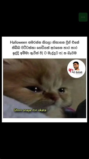 sinhala funny memes 🤣💔 #sinhalafunny #memes #srilanka