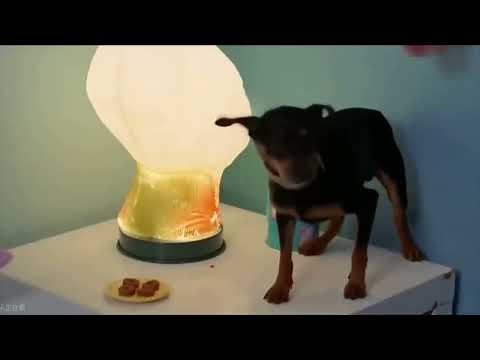 Chinese Tickle Scene