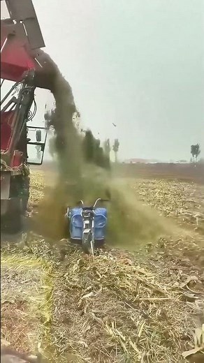 Impressive Unloading Scene of Combine Harvester!