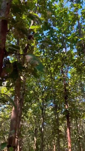 💔🥀 #shorts #youtubeshorts #trending #viral