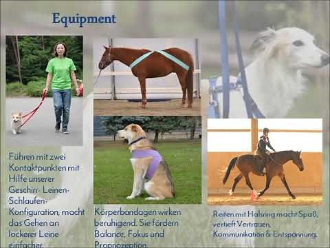 Die Tellington TTouch® Methode: Eine Einführung