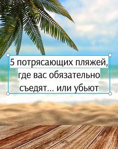 2.1K views · 21 reactions | Лето, солнце, море, пляж? Как бы не так....