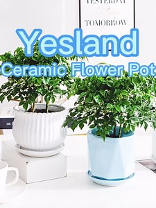 Yesland Ceramic Pots for Indoor Plants, Set of 3 in Different Sizes Round Plant Pots Flower Pots with Connected Saucer for Garden Indoor Outdoor Plants - White