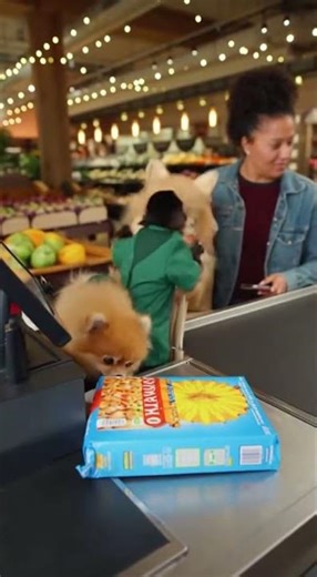 A moment recorded and shared