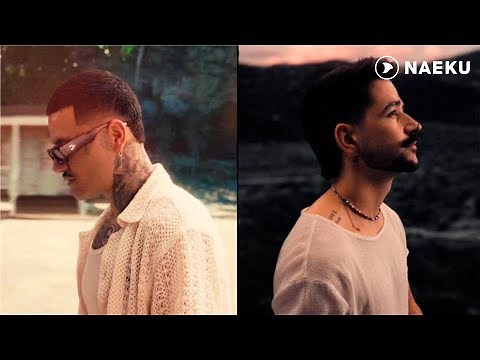 ESTA ES TU CASA NENA - Kapo x Camilo (Video Oficial)