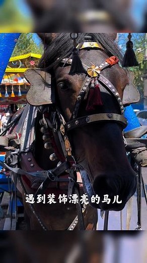 #风土人情 新疆#风土人情