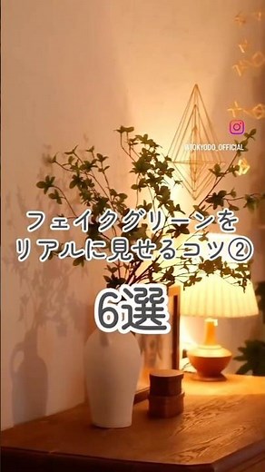 フェイクグリーンをリアルに見せるコツ6選【後編】 #フェイクグリーン #アーティフィシャルフラワー #造花 #インテリア