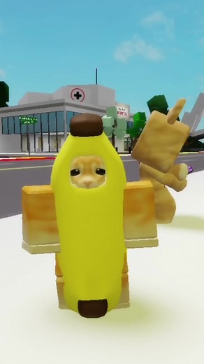Banana Cat Got Sick! 🙀 - Roblox Avixen Cat Story