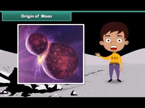 The Moon 🌙 | Class 5 Science (English) | Kids Learning
