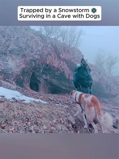 Surviving a Snowstorm in a Cave with Dogs