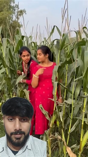 Sleeper latak Gaya“Building Wooden Log Cabin in Forest 🌲 | Survival House Step by Step” AV- 800