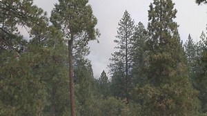 EVACUATIONS: Evacuation orders remain in place for the tiny California community of Wawona as crews try to surround a stubborn, week-old fire in Yosemite National Park. http://wp.me/p5hgGs-2AjM | KRON 4 News