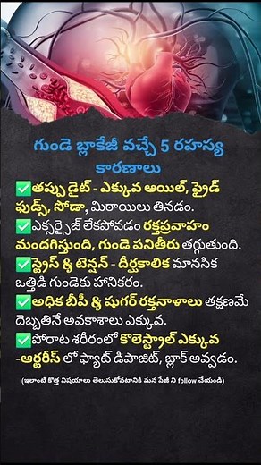 5 Powerful Ways to Improve Blood Circulation Naturally