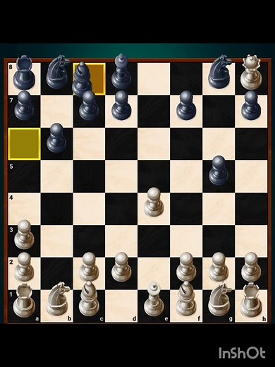 chess game playing with computer