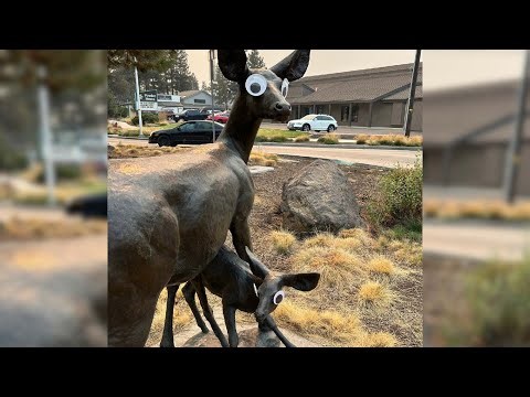 Mysterious Googly Eyes Appearing On Public Art In Oregon
