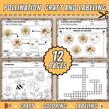 Pollination Craft and Labeling | Fine motor & Science| Spring & Insects