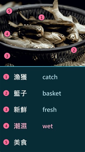 📷 Learn five words with one picture 📸 生活一張圖，學五個字 #1040｜