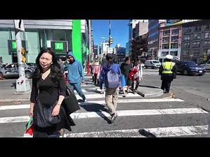 Exploring Chinatown NYC with Mom & Dad | Getting Buns and a Riverside Walk