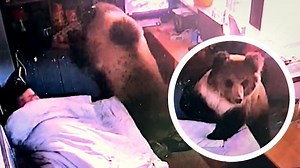 Sleeping man narrowly escapes BEAR after shocking break-in