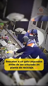 224K views · 11K reactions | Un empleado de una planta de reciclaje...