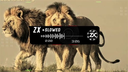 2 LION | NOMI JUTT X IFFI JUTT | NEW PUNJABI SONG || SLOWED X REVERB 🎧 USE HEADPHONES 2 FOR BETTER EXPERIENCE #viral #song #nomijut #slowed #Useheadphones