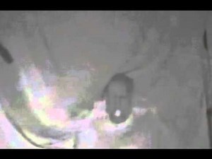 Physical Mediumship - Warren Caylor