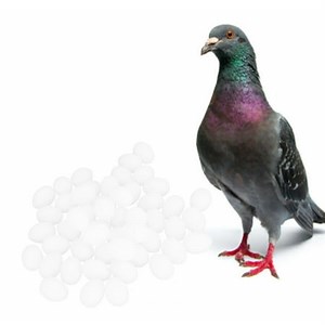 Verify Your Identity