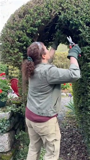 This Grand Arched Gateway Will Transform Your Garden Forever 🏛️