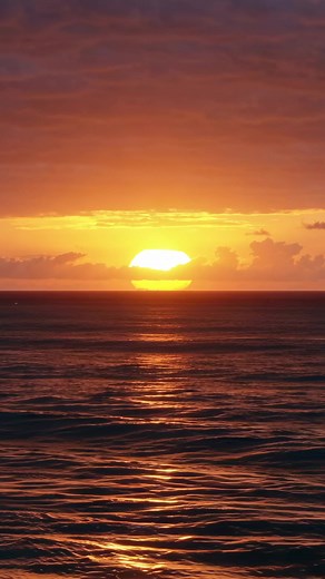 6.2K views · 53K reactions | Sip, sparkle and celebrate under a...