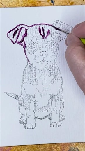 How to Paint a Chihuahua 2 #painting #drawing #stilllife #chihuahua #dog