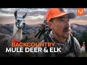 Backcountry Hunting with Llamas | Cal in the Field