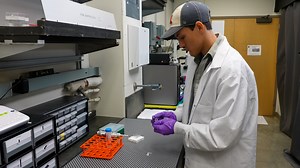 Direct Comparison of Hyperspectral Stimulated Raman Scattering and Coherent Anti-Stokes Raman Scattering Microscopy for Chemical Imaging