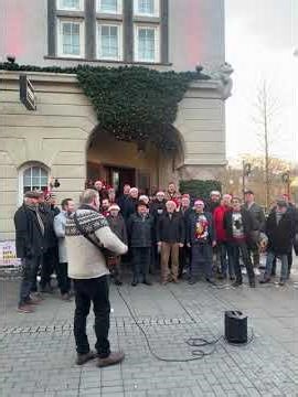 Reykjavik Iceland 🇮🇸 #travel #shortvideo #viralvideo #shorts #walking #winter #weihnachten