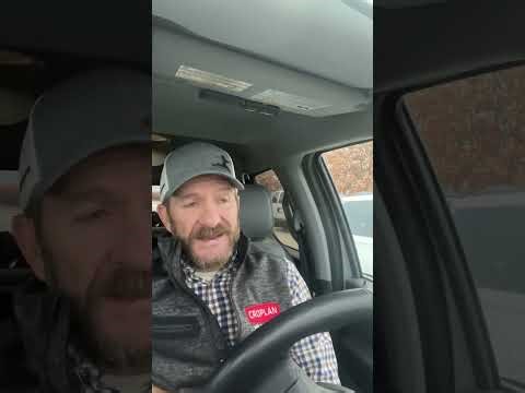 Prussic Acid Free Sorghum x Sudangrass 