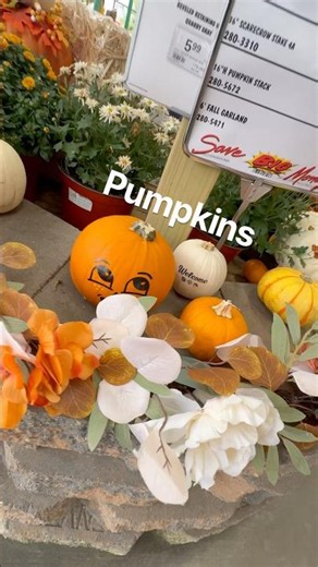BEAUTIFUL FALL THEME HALLOWEEN THEME PUMPKIN PATCH GARDEN CENTER MENARDS #pumpkinpatch #gardencenter