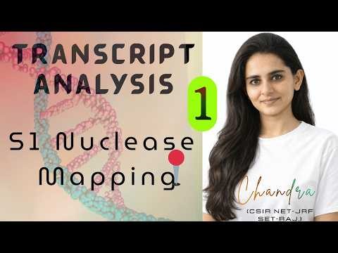 Part 1 – S1 Nuclease Mapping | Transcript Analysis | #Biotechnology