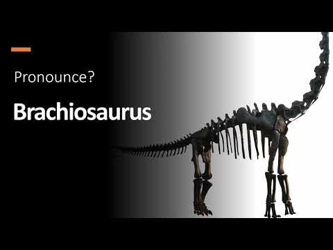 How to Pronounce ''Brachiosaurus'' Correctly! (Dinosaur)