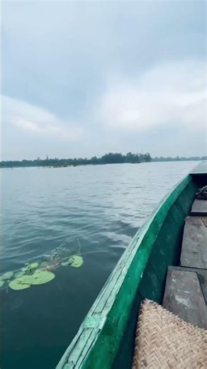Relaxing Boat Ride in Beautiful Nature 🌿🚣 Calm Music & Peaceful Views #shorts