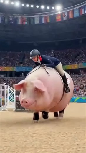 7.1K views · 40 reactions |  When you love horseback riding but...