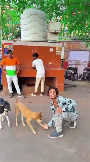 cutie dogi vs dangerous dogi 😡😱#cutedogs #doglife #dogshorts #youtubeshorts #pets #dangerousdog