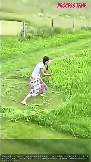大鎌の正しい使い方！シングルグリップスナスでの草刈り実演 #worker #process #scythe #agriculture #farming