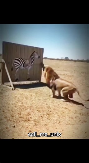 santa sletu 😂#viralvideo #ኢትዮጵያ_ለዘለዓለም_ትኑር🇪🇹🇪🇹🇪🇹 #ethiomeme #foryoupage