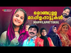 മൊഞ്ചുള്ള മാപ്പിളപ്പാട്ടുകൾ | Mappilapattukal | Malayalam Mappilapattukal | Pazhaya Mappila Ganagal