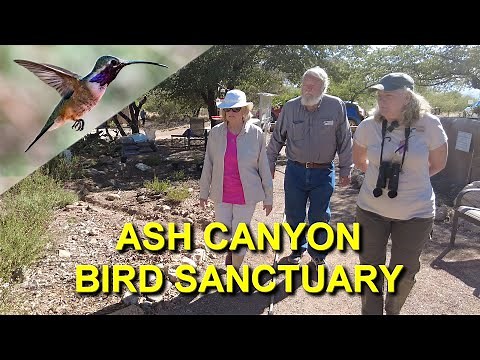 I Toured Ash Canyon Bird Sanctuary with Sheri L. Williamson and Tom Wood