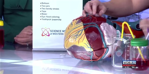 STEAM experiment for Heart Month